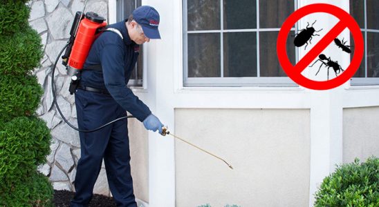 Akyurt Böcek ve Haşere İlaçlama böcek ilaçlama ve haşere kontrolü — ilaclama-tr.com